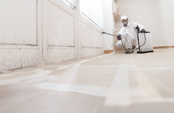 24/7 Emergency Black Mold Removal experts in Paeonian Springs, VA