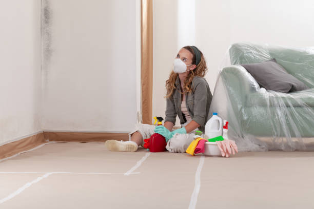 Reliable Mold Remediation contractor in Paeonian Springs, VA by Cheap Mold Removal